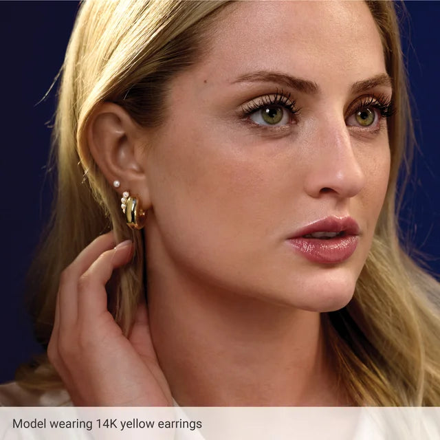 Chubby Hollow Hoop Earrings