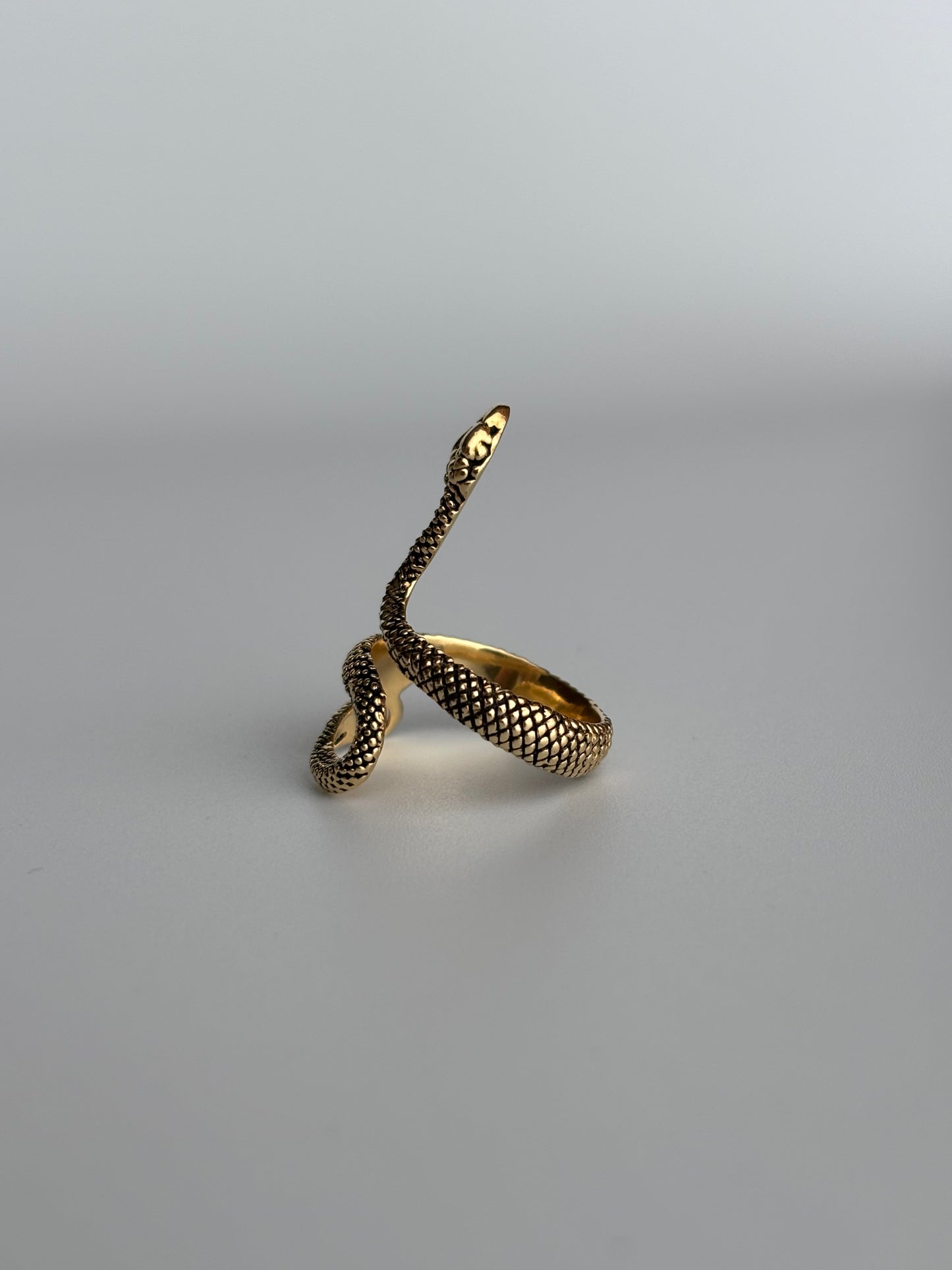 Wrap Around Snake Ring