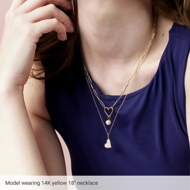 Heart Shaped Charm Holder Necklace