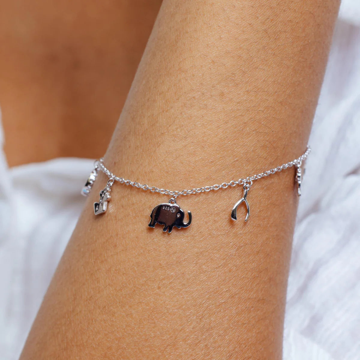Sterling Silver Lucky Charm Bracelet