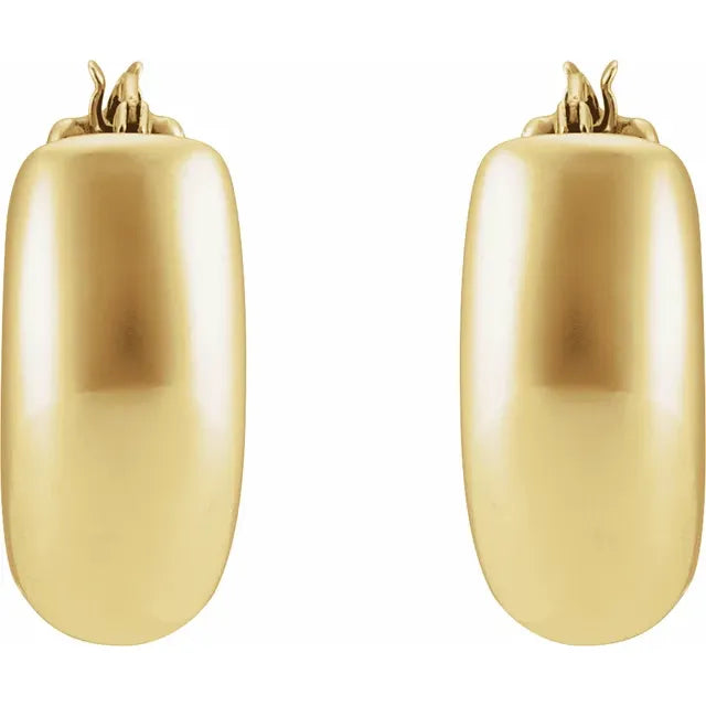 Chubby Hollow Hoop Earrings