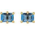 Claw Prong Emerald Cut Stud Earrings