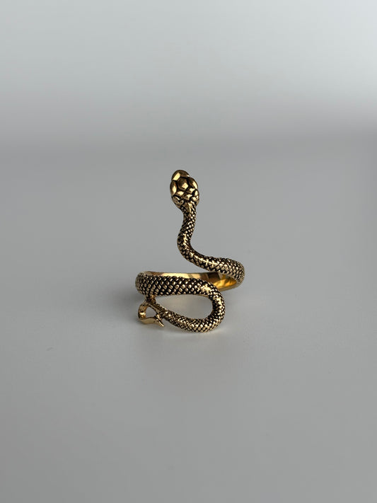Wrap Around Snake Ring