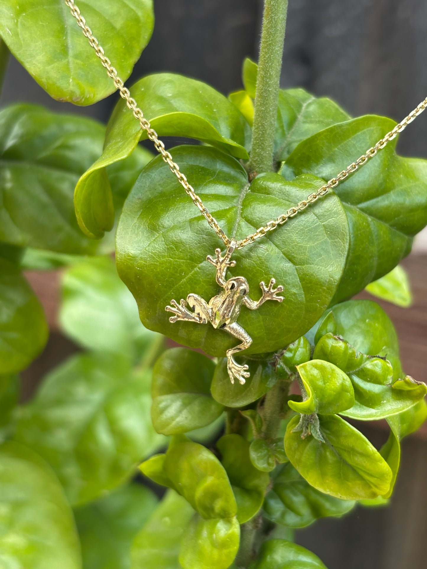 Climbing Frog Charm