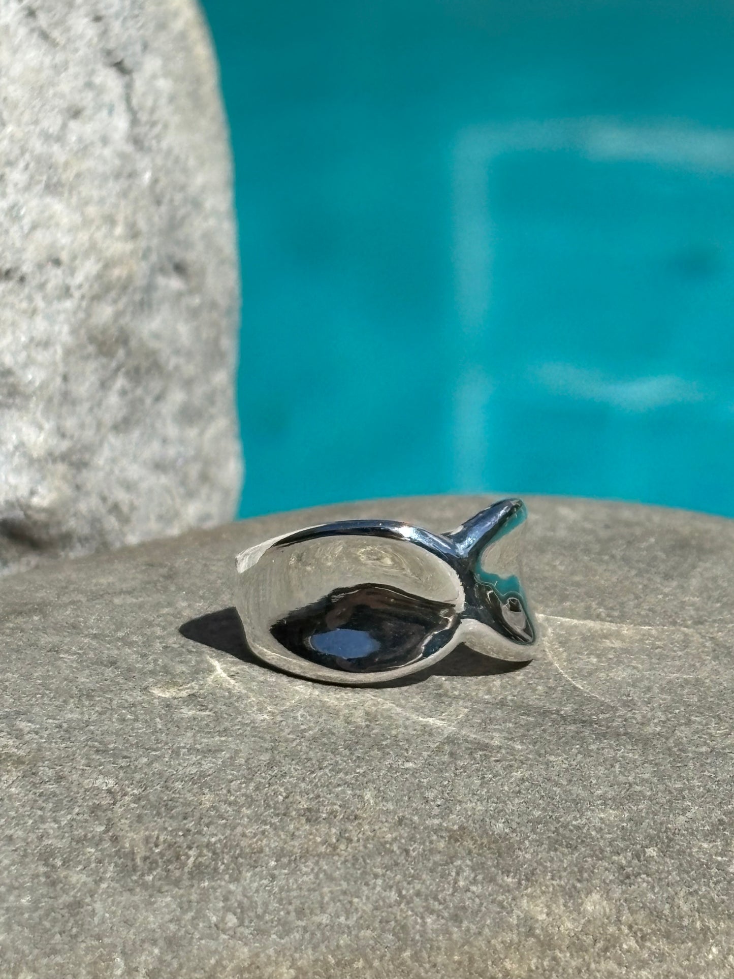 Chunky Silver Twist Ring