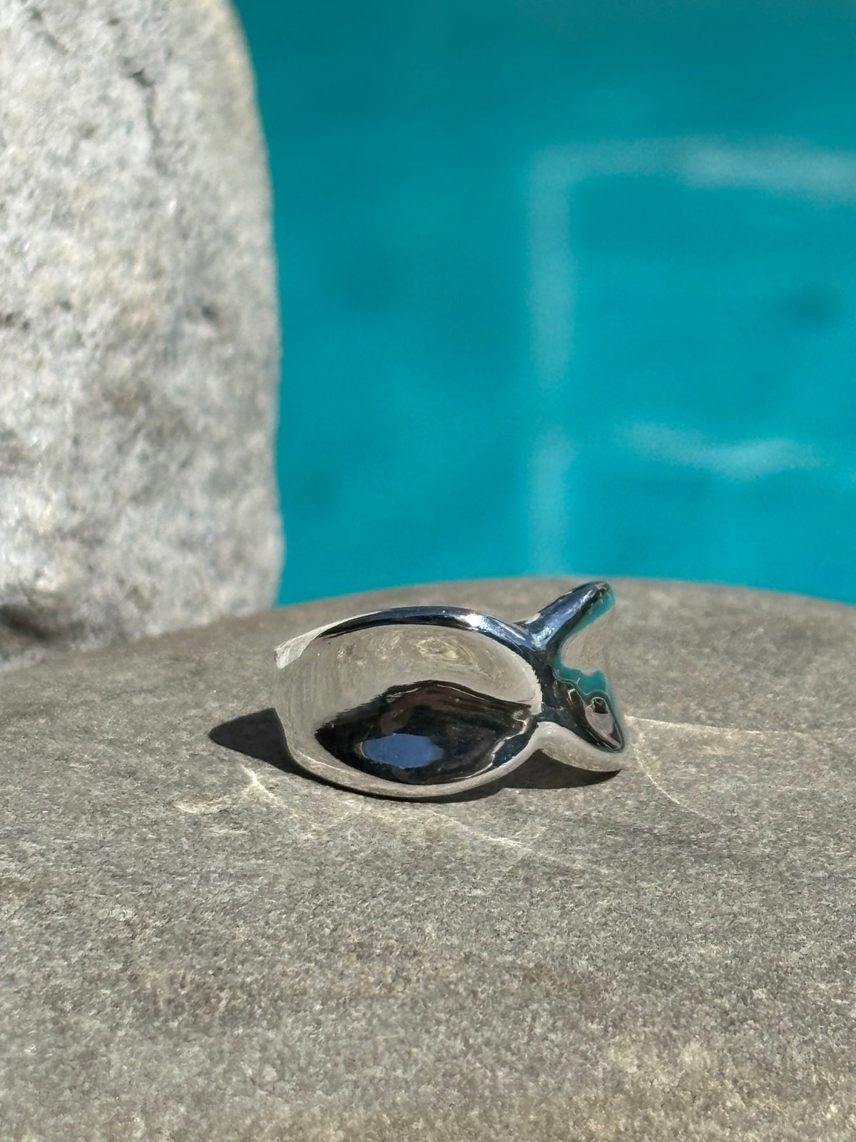 Chunky Silver Twist Ring