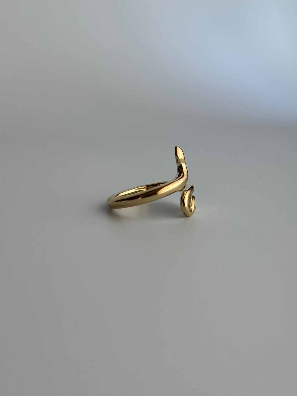 Smooth Snake Ring